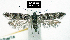  ( - NoA-08-223)  @13 [ ] Unspecified (default): All Rights Reserved  Unspecified Unspecified