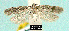  ( - NoA-08-245)  @12 [ ] Unspecified (default): All Rights Reserved  Unspecified Unspecified