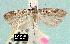  ( - NoA-08-248)  @13 [ ] Unspecified (default): All Rights Reserved  Unspecified Unspecified
