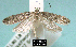  ( - NoA-08-260)  @13 [ ] Unspecified (default): All Rights Reserved  Unspecified Unspecified