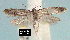  ( - NoA-08-262)  @12 [ ] Unspecified (default): All Rights Reserved  Unspecified Unspecified