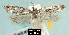  ( - NoA-08-270)  @13 [ ] Unspecified (default): All Rights Reserved  Unspecified Unspecified
