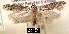  ( - NoA-08-275)  @13 [ ] Unspecified (default): All Rights Reserved  Unspecified Unspecified