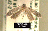  ( - NoA-08-285)  @12 [ ] Unspecified (default): All Rights Reserved  Unspecified Unspecified