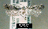 ( - NoA-08-286)  @11 [ ] Unspecified (default): All Rights Reserved  Unspecified Unspecified