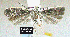  ( - NoA-08-288)  @13 [ ] Unspecified (default): All Rights Reserved  Unspecified Unspecified