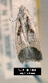  ( - NoA-08-289)  @12 [ ] Unspecified (default): All Rights Reserved  Unspecified Unspecified