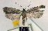  ( - NoA-08-291)  @14 [ ] Unspecified (default): All Rights Reserved  Unspecified Unspecified