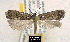  ( - NoA-08-293)  @15 [ ] Unspecified (default): All Rights Reserved  Unspecified Unspecified