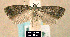  ( - NoA-08-294)  @15 [ ] Unspecified (default): All Rights Reserved  Unspecified Unspecified