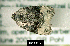  ( - NoA-08-312)  @12 [ ] Unspecified (default): All Rights Reserved  Unspecified Unspecified