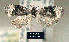  ( - NoA-08-313)  @12 [ ] Unspecified (default): All Rights Reserved  Unspecified Unspecified