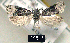  ( - NoA-08-314)  @13 [ ] Unspecified (default): All Rights Reserved  Unspecified Unspecified