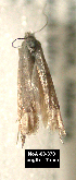  ( - NoA-08-370)  @12 [ ] Unspecified (default): All Rights Reserved  Unspecified Unspecified