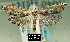  ( - NoA-08-392)  @11 [ ] Unspecified (default): All Rights Reserved  Unspecified Unspecified