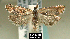  ( - NoA-08-393)  @11 [ ] Unspecified (default): All Rights Reserved  Unspecified Unspecified
