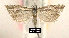  ( - NoA-08-402)  @11 [ ] Unspecified (default): All Rights Reserved  Unspecified Unspecified