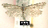  ( - NoA-08-403)  @11 [ ] Unspecified (default): All Rights Reserved  Unspecified Unspecified