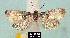  ( - NoA-08-406)  @13 [ ] Unspecified (default): All Rights Reserved  Unspecified Unspecified