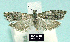  ( - NoA-08-419)  @13 [ ] Unspecified (default): All Rights Reserved  Unspecified Unspecified