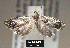  ( - NoA-08-433)  @13 [ ] Unspecified (default): All Rights Reserved  Unspecified Unspecified