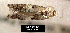  ( - NoA-08-434)  @12 [ ] Unspecified (default): All Rights Reserved  Unspecified Unspecified