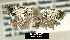  ( - NoA-08-435)  @13 [ ] Unspecified (default): All Rights Reserved  Unspecified Unspecified