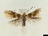  ( - CLV6344)  @14 [ ] CreativeCommons  Attribution Non-Commercial Share- (2018) Carlos Lopez Vaamonde Institut National de la Recherche Agronomique, Zoologie Forestiere