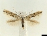  ( - CLV6347)  @11 [ ] CreativeCommons  Attribution Non-Commercial Share- (2018) Carlos Lopez Vaamonde Institut National de la Recherche Agronomique, Zoologie Forestiere
