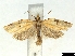  ( - CLV6358)  @11 [ ] CreativeCommons  Attribution Non-Commercial Share- (2018) Carlos Lopez Vaamonde Institut National de la Recherche Agronomique, Zoologie Forestiere