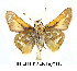  ( - RR-HEPA-ND001)  @14 [ ] Unspecified (default): All Rights Reserved  Unspecified Unspecified