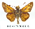  ( - RR-HEPA-ND002)  @15 [ ] Unspecified (default): All Rights Reserved  Unspecified Unspecified