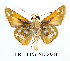  ( - RR-HEPA-ND002)  @14 [ ] Unspecified (default): All Rights Reserved  Unspecified Unspecified