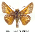  ( - RR-HEPA-ND003)  @15 [ ] Unspecified (default): All Rights Reserved  Unspecified Unspecified