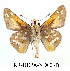  ( - RR-HEPA-ND003)  @14 [ ] Unspecified (default): All Rights Reserved  Unspecified Unspecified
