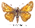  ( - RR-HEPA-ND004)  @15 [ ] Unspecified (default): All Rights Reserved  Unspecified Unspecified