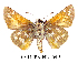  ( - RR-HEPA-ND004)  @14 [ ] Unspecified (default): All Rights Reserved  Unspecified Unspecified