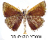  ( - RR-OAPO-ND001)  @13 [ ] Unspecified (default): All Rights Reserved  Unspecified Unspecified