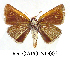  ( - RR-OAPO-ND002)  @13 [ ] Unspecified (default): All Rights Reserved  Unspecified Unspecified
