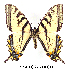  ( - RR-PTCA-ND001)  @14 [ ] Unspecified (default): All Rights Reserved  Unspecified Unspecified