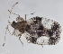  ( - NK2418)  @11 [ ] Copyright (2024) Natalia Kirichenko Sukachev Institute of Forest SB RAS