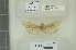 ( - RMNH.5011606)  @11 [ ] Unspecified (default): All Rights Reserved (2018) B. Gravendeel Naturalis Biodiversity Center