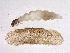  ( - BIOUG02709-G01)  @13 [ ] CreativeCommons - Attribution (2013) Trevor Bringloe Centre for Biodiversity Genomics