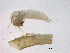  ( - BIOUG03297-D01)  @13 [ ] CreativeCommons - Attribution (2013) Trevor Bringloe Centre for Biodiversity Genomics