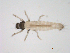  ( - BIOUG03297-H08)  @13 [ ] CreativeCommons - Attribution (2013) Trevor Bringloe Centre for Biodiversity Genomics
