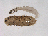  ( - BIOUG03298-A04)  @13 [ ] CreativeCommons - Attribution (2013) Trevor Bringloe Centre for Biodiversity Genomics