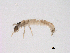  ( - BIOUG03324-A12)  @13 [ ] CreativeCommons - Attribution (2013) Trevor Bringloe Centre for Biodiversity Genomics