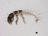  ( - BIOUG03324-B03)  @13 [ ] CreativeCommons - Attribution (2013) Trevor Bringloe Centre for Biodiversity Genomics