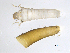  ( - BIOUG03324-D01)  @13 [ ] CreativeCommons - Attribution (2013) Trevor Bringloe Centre for Biodiversity Genomics