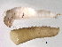  ( - BIOUG03324-D03)  @13 [ ] CreativeCommons - Attribution (2013) Trevor Bringloe Centre for Biodiversity Genomics